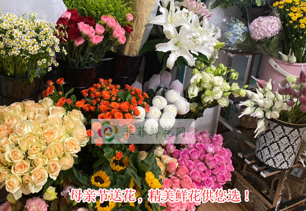 2024武强县母亲节送花,武强县精美鲜花供您选!